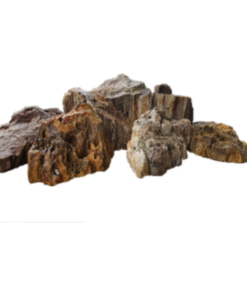 Fossil Stone