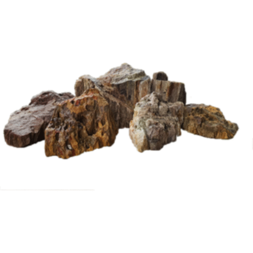 Fossil Stone