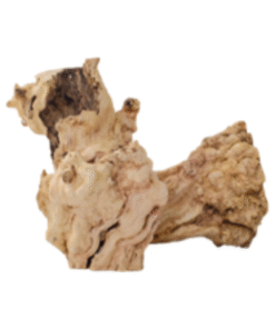 Java Cave Wood