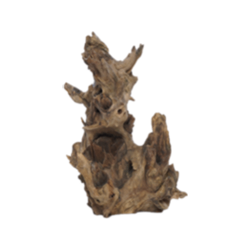 Java Coral Wood