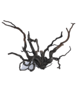 Kisireum Black Wood