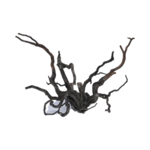 Kisireum Black Wood