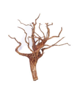 Kisireum Brown Wood