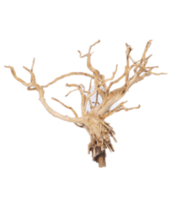 Kisireum White Wood
