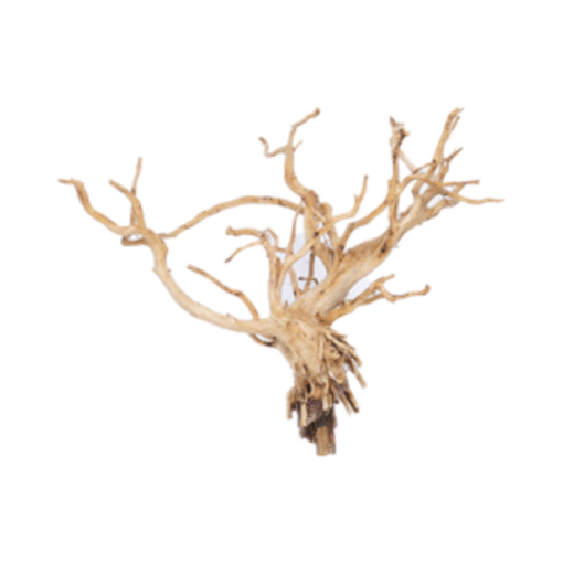Kisireum White Wood