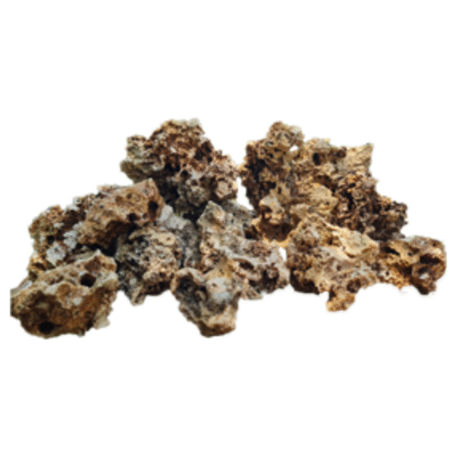 Coral Stone